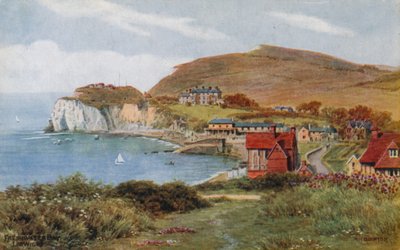 Freshwater Bay, Isola di Wight da Alfred Robert Quinton